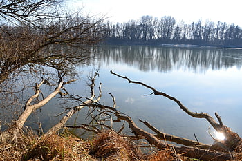 Ungheria, Baranya, drava, fiume, Croazia, natura, legna, parte