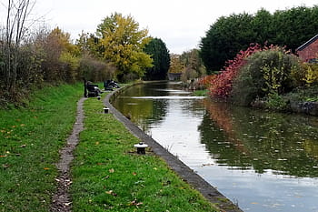 Trent and Mersey Canal, towpath walk, Cheshire, autumn, anglers, wildlife, nature, amateur photography, Terry Hughes, explore, green towpath