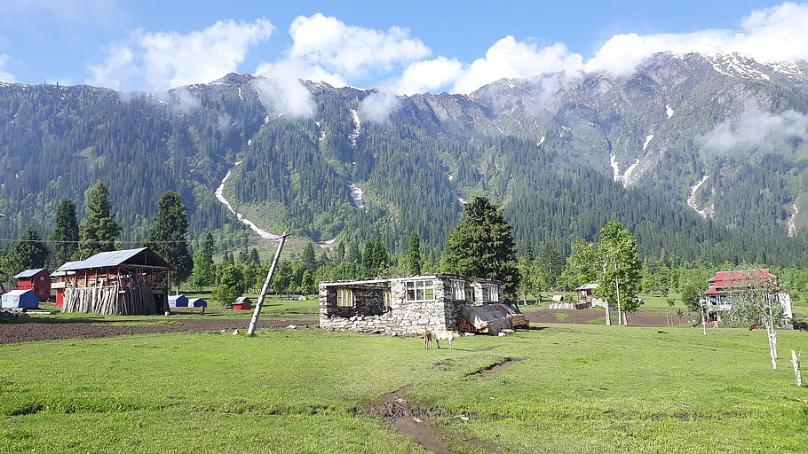 neelum, kašmír, Pákistán, Příroda, krajina, zeleň, les