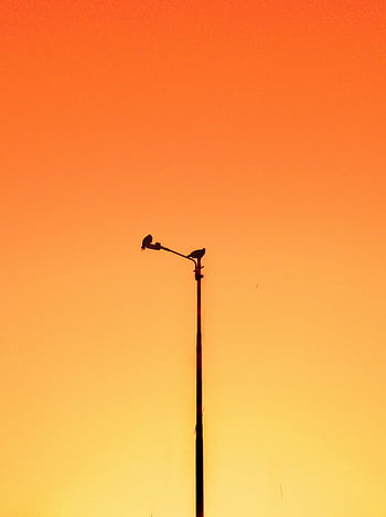 Ptáci na pouliční lampě, červené nebe, západ slunce, Urban silueta, Závalný západ slunce, dva ptáci, pouliční lampa, Nárazná silueta, nebe, ptáci při západu slunce, městských ptáků