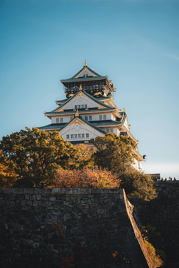 osaka hrad, čisté nebe, svěží stromy, Ohromující fotka, modrá obloha, chrám, historické architektury, japonský hrad, podzimní barvy, pohled, Osaka Japan