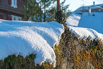 wall, snow, winter, nature, snowdrift, cold, frost, morschach, switzerland, landscape, closeup