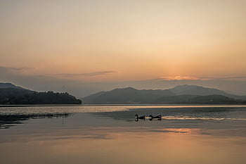 South River Lake, naturaleza, lago, puesta de sol