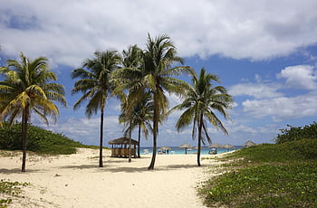 palmy, pláž, Playa del Este, kuba, Sandy Shores, modré nebe, tropický, pobřeží, dovolená, cestovat, relaxace