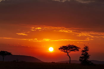 Afrika, Serengeti, Tansania, Safari, Tierwelt, Sonnenuntergang, Natur, malerisch, Landschaft, untergehende Sonne, Dämmerung