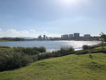 sejong, city, sejong City, day, sunny Weather, nice Weather, korea, lake Park, lake, park, hill