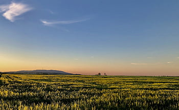 landscape, mountains, fields, plains, meadow, nature, horizon, dusk, dawn, grassland