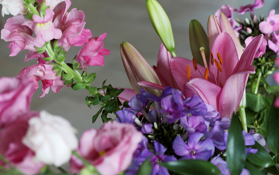 bouquet, flower Background, lily, phlox, snapdragon, flowers, flower Wallpaper, pink, romantic, beautiful Flowers, nature
