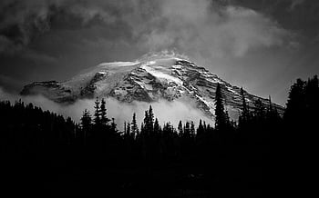 Mount Rainier, gråtonebillede, snedækkede bjerg, sort og hvidt landskab, tåget bjerg, majestætiske bjerg, vinterlandskab, Sne-dækket top, bjerg træer, bjerg tåge, sort og hvid fotografering