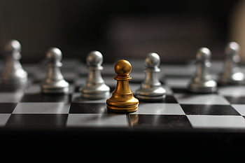 catur, permainan, strategi, raja, hitam