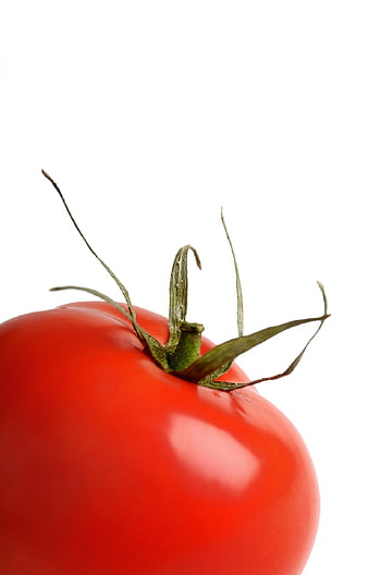 aliments, en mangeant, rouge, objet, tomate, en bonne santé, vibrant, biologique, légume, fraîcheur, la perfection