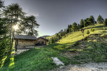 erba verde, paesaggio di campagna, cabine di legno, pendio, tramonto, serenità, tranquillità della natura, scena rurale, bellezza naturale, ambientazione pacifica, vista panoramica