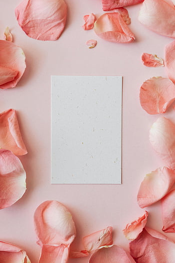 romantic flat lay, pink rose petals, blank card, personal message, romantic composition, flat lay photography, floral arrangement, pink petals, empty card, romantic design, romantic background