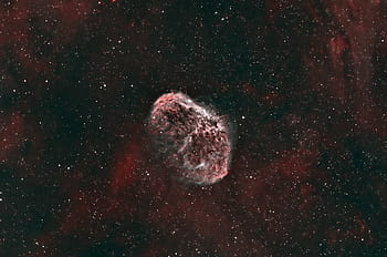 Crescent Nebula, HOO palette, Ha data, O3 data, ES 127mm Refractor, Losmandy G811G, ZWO ASI 294mm camera, PixInsight Processing, 3nm Ha Filter, 3nm O3 Filter