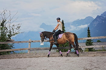 kůň, dívka, lekce jízdy na koni, poník, jezdecký poník, jezdecký, koňský, zvíře, hnědý kůň, Pony Ride, Příroda