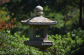 japonská zahrada, zahradní ornament, Japonská zahradní ozdoba, herman park, Houston, texas, les, deštný prales, divočina, orientální, orient