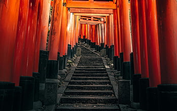 senbon torii, kapliczka fushimi inari, Kioto, Japonia, Red Torii Gates, kultowe torii, ścieżka, świątynia, schody, tradycyjny, architektura