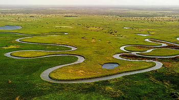 okavango delta, řeka, krajina, antény, trubec