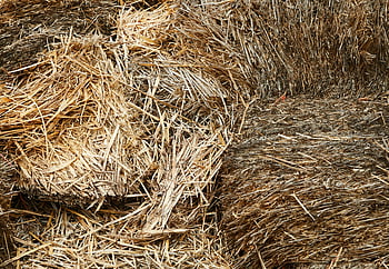 건초, 짚 bales, 쌓인 건초, 농촌 환경, 질감의 빨대, 헛간 인테리어, 농장 저장, 농업 현장, 건초 bales, 시골 풍경, 농장 생활
