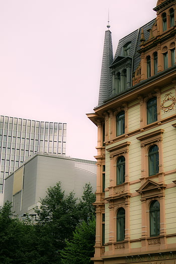 歴史的建造物、 近代建築、 都市環境、 時計のある建物、 背景の木、 建築様式、 コントラスト、 街並み、 モダンな建物、 都会の風景