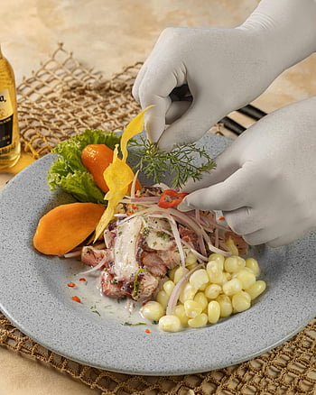 chef hands, gloves, decorating dish, Peruvian ceviche, garnishing, corn, vegetables, plate, food presentation, culinary art, chef gloves