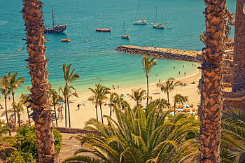 plage, voiliers, palmiers, journée ensoleillée, Rosiana Espagne, scène idyllique, eau, des arbres, bateaux, bord de mer, vacances