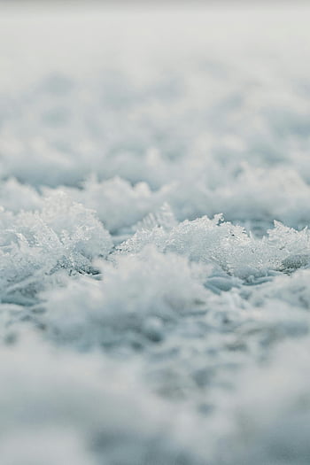 snowflakes, ground, winter, frost crystals, icy surface, delicate snowflakes, detailed view, frost, ice, snow, crystals