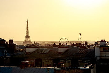 paris, nature, rooftop, eiffel Tower, urban, architecture, sunset, france, sky, famous, capital