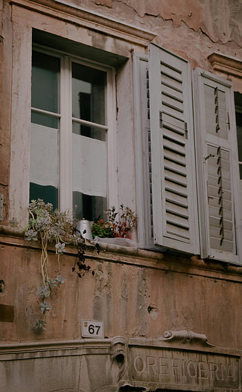 γλάστρες με φυτά, ξύλινο γυάλινο παράθυρο, ρουστίκ τοίχο, ανοιχτά παντζούρια, Rovereto Italy, πρεβάζι, διακοσμητικά φυτά, vintage παράθυρο, παντζούρια, πρόσοψη κτιρίου, υπαίθρια φυτά
