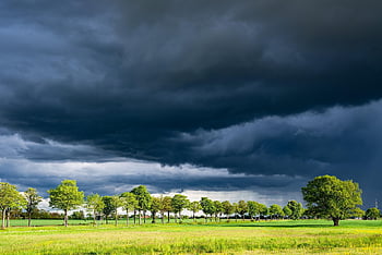 thunderstorm, thunderclouds, clouds, nature, field, meadow, landscape, avenue, trees, farmer, agriculture