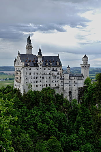 neuschwanstein hrad, hrad, kopec, stromy, les, palác, Příroda, mezník, historický, pohádkový hrad, schwangau