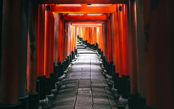 fushimi inari svatyně, Red Torii Gates, kyoto japonsko, ikonický torii, Dřevěná chodba, svatyně, japonské svatyně, červená a černá, tradiční japonština, Torii tunel, kulturní památka