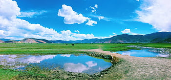 shangri-la, yunnan, sky, grassland, wetland, marsh, fields, meadow, plains, mountains, mountain Range