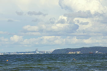 tenger, óceán, víz, ég, felhők, lebeg a vízben, úszni, erdő, fák, blokkok, úszás