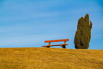 krajina, banka, strom, kopec, modrá obloha, Příroda, scénický, relaxace, relaxovat, umlčet, klid