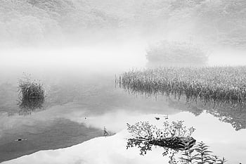 jezero, hora, odraz, krajina, Příroda, ranní mlha, bukového lesa, opar, vodní hladiny, klidná atmosféra, prefektura yamagata