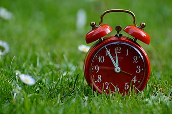 red alarm clock, vintage alarm clock, grass field, lush green grass, time and nature, outdoor clock, red clock, nature photography, clock on grass, 2-bell alarm clock, vintage clock