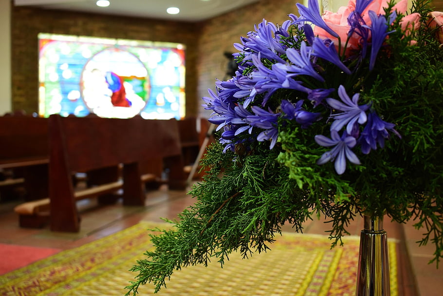 flowers, movie, interiors