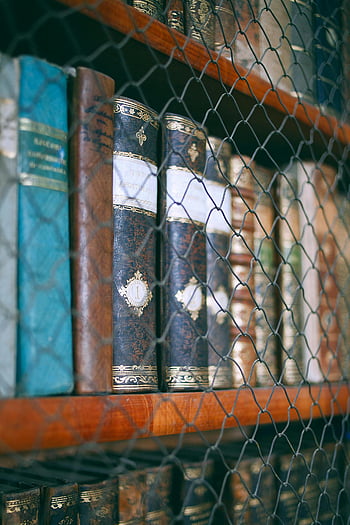 gamle bøker, bokhyller, gitter gjerde, Klassiske vintage bøker, Trebokhylle, metallnett, nærbilde, bibliotek, antikke bøker, boksamling, Sikrede bøker