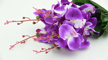 fialové květy, Vibrující fialová orchidej, Detailní květiny, zelené listy, Jemné pupeny, bílé pozadí, květinové kytice, fialová orchidej kytice, krásné květiny, aranžování květin