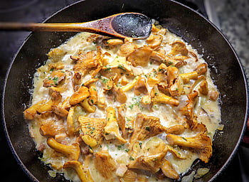 fungo, piatto, Pan, gallinacci, commestibile, cucinando, cibo