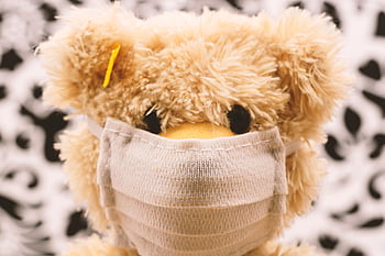 mask, protection, mouth Guard, respiratory Protection, virus, corona, bear, stuffed Animal, cuddly Toy, cuddling Bear