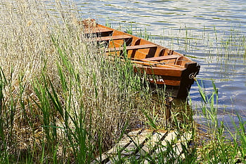 βάρκα κωπηλασίας, λίμνη, Łódź, ξύλινη βάρκα, Πολωνία, καλάμια, ποτάμι, φύση, χαλάρωση, προκυμαία, η προβλήτα