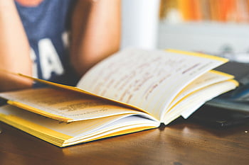 flicka läser, anteckningsbok, handskrivna anteckningar, studie, utbildning, kreativt skrivande, öppen anteckningsbok, skrivbord, inlärning, fokus, koncentration