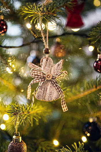 vánoční strom, anděl ornament, detail, zdobené vánoční strom, světla, sváteční dekorace, slavnostní, vánoční ozdoba, Malý anděl, strom světla, vánoční sezóna