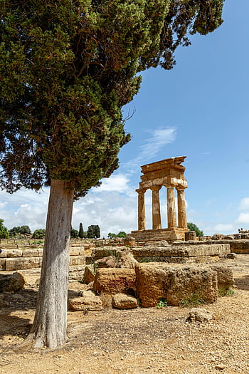 valle dei templi, agrigento, Italia, Tempio dei Dioscuri, antiche rovine, sicilia, rovine maestose, sito storico, esplorazione esterna, architettura antica, paesaggio naturale
