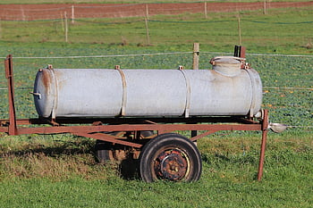Drikke vogn, eng, forår, dyre græsarealer, græs, kvægtrug, vand, husdyrbrug, natur, drikke, vanddonation