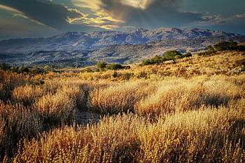 field, grass, mountains, dry, autumn, fall, landscape, mountain Range, nature, scenery, cloudy