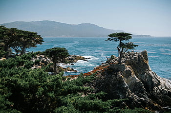 Lone Cypress, Pebble Beach, California, Monterey coastline, scenic coastline, travel destination, iconic tree, rocky coastline, ocean view, natural beauty, coastal landscape