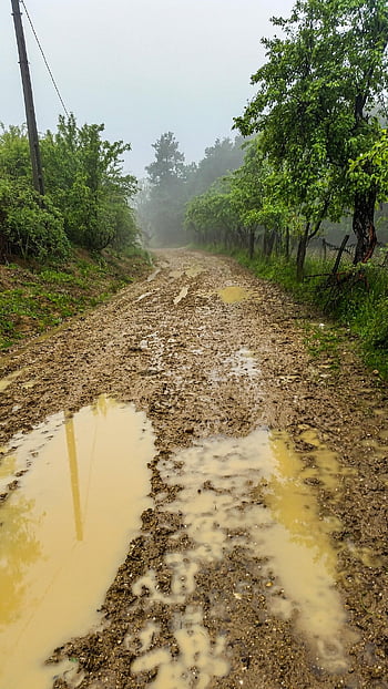 dirt Road, mud, puddle, unpaved Road, road, water, rural, countryside, unpaved, country, raod